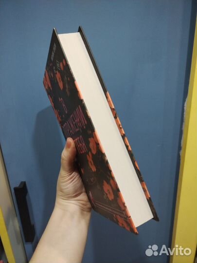 В отражении тебя Моник Сиси