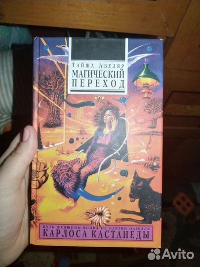 Тайша Абеляр