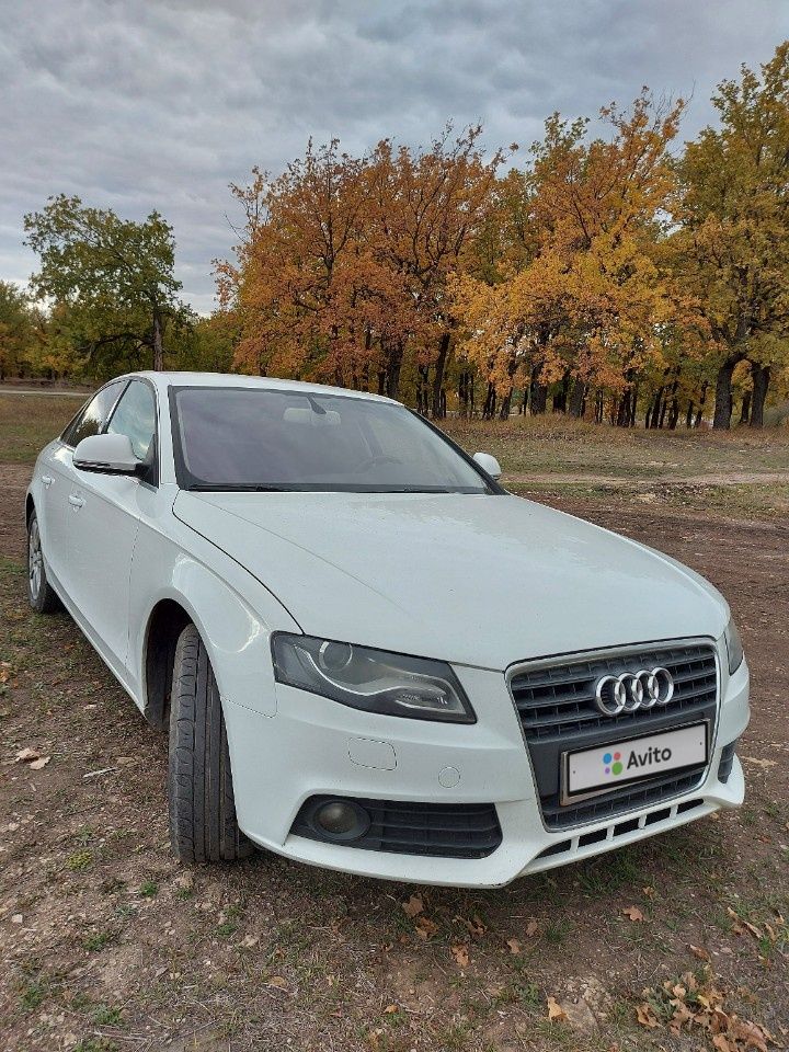 Audi A4: фото владельца