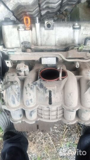 Мотор хонда цивик. Стучал шатун. Купили новый