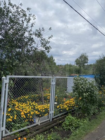 Дача 25 м² на участке 5 сот.