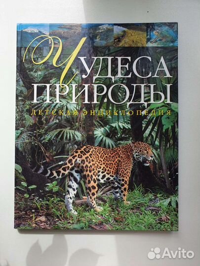 Книга - энциклопедия 