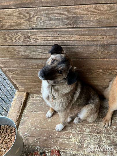 Забери меня домой