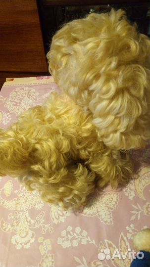 Собачка-болонка СССР