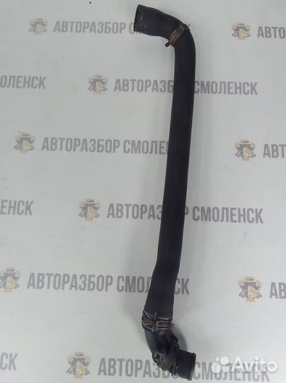 Патрубок радиатора mini Cooper I (2000—2015)