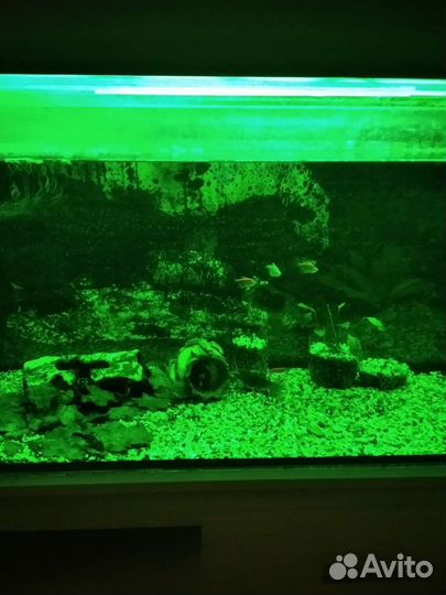 3 Аквариума