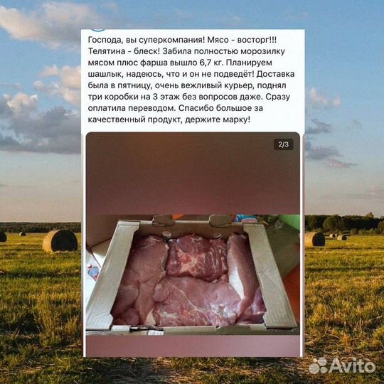 Мясо говядина