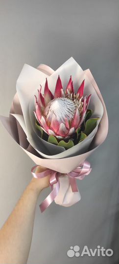 Протея королевская цветы букет