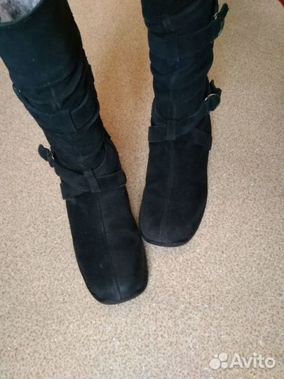 Сапоги, Антилопа. Зима.Нат.замша и мех. Р33