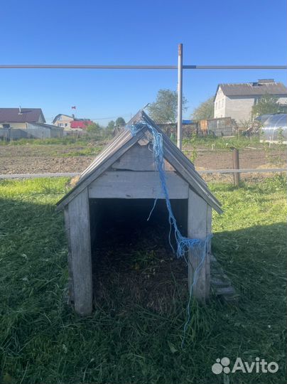 Будка для собаки