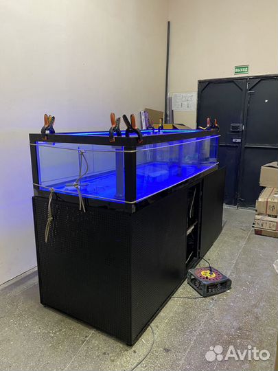 Аквариум узв передержка устриц краба морепродуктов