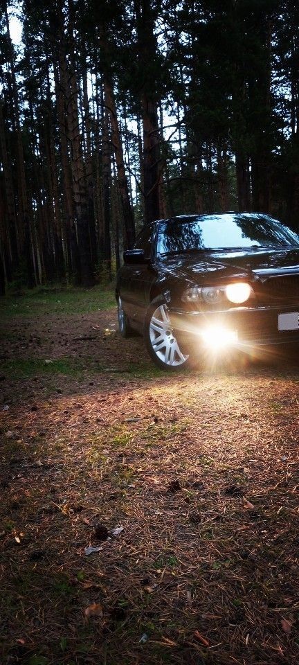 BMW 7 серия: фото владельца