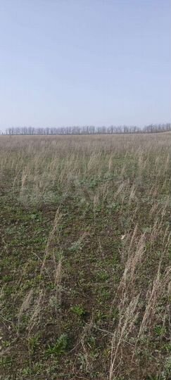 Участок 8,1 сот. (ИЖС)