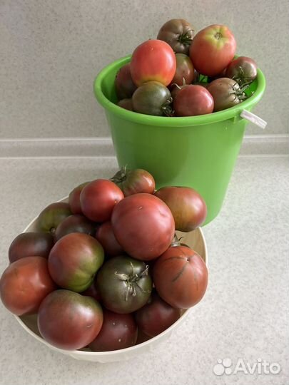 Помидоры домашние