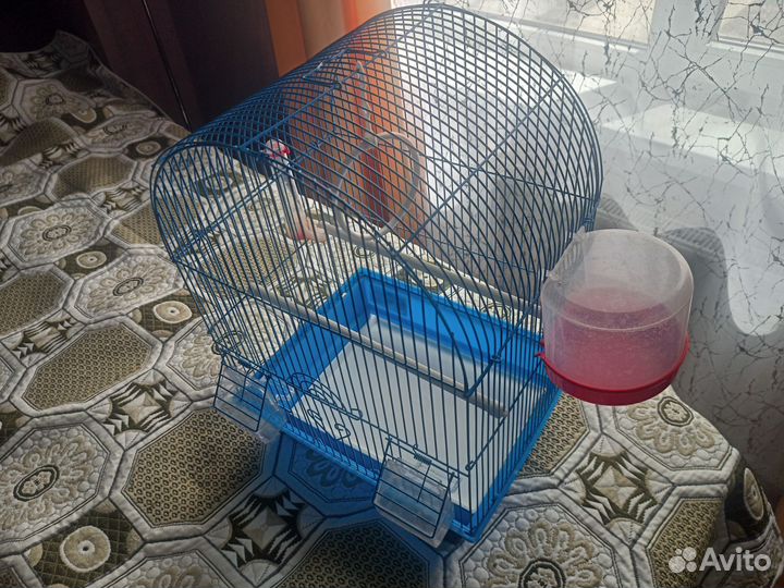 Клетка для попугая