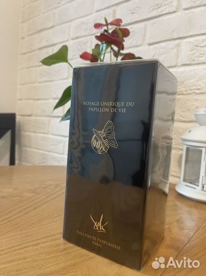 Voyage Onirique Du Papillon De Vie Salvador Dali