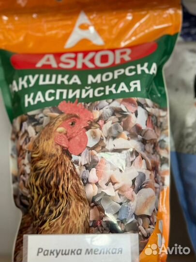 Ракушка для животных