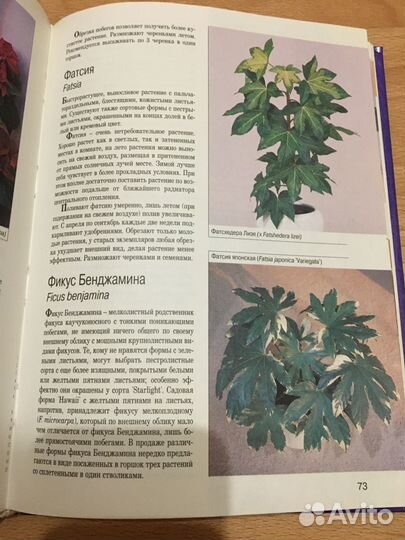 Книга мини- энциклопедия Комнатные растения