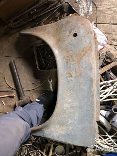 Заз горбатый передние крылья