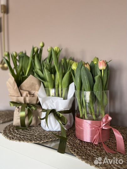 Тюльпаны в вазоне