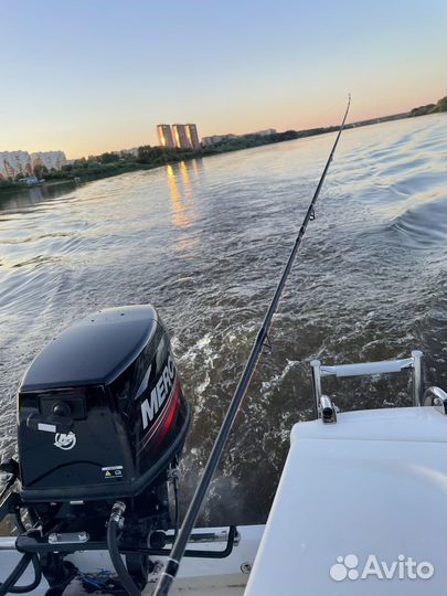 Катер Блюз + меркури 30