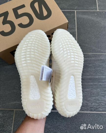 Adidas Yeezy Boost 350 V2 Bone