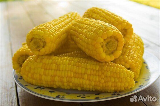 Кукуруза в початках