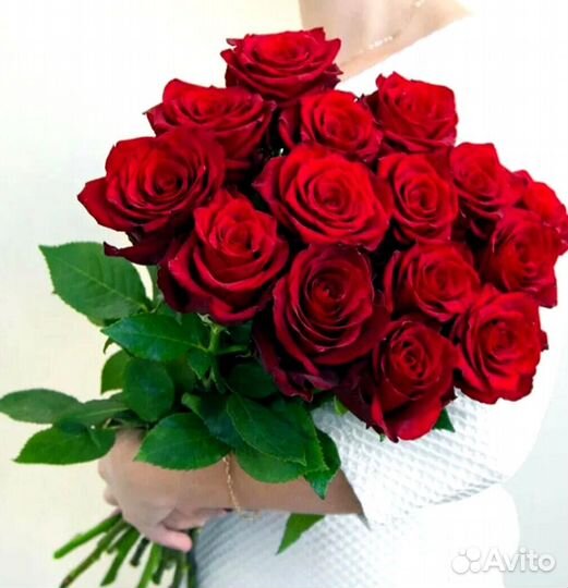 15 красных роз