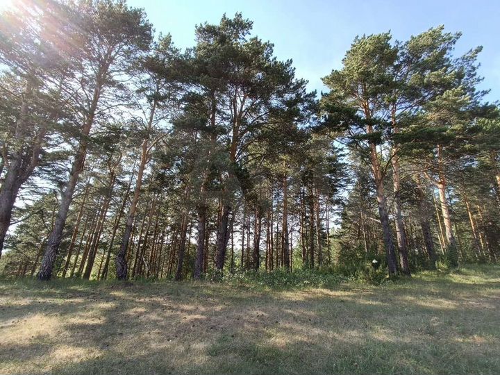 Участок 45 сот. (ИЖС)