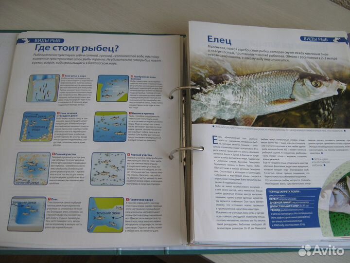 Энциклопедия рыболова 840 иллюстрированных страниц