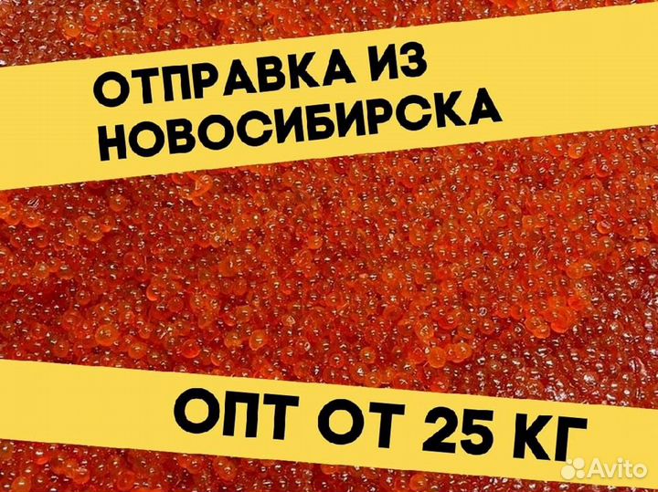 Красная икра нерки, улов 2023 года