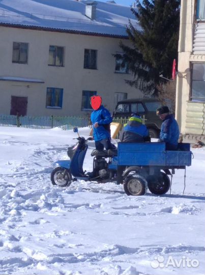 Продам муравья