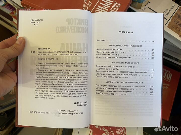 Виктор Кожемяко. Наша революция