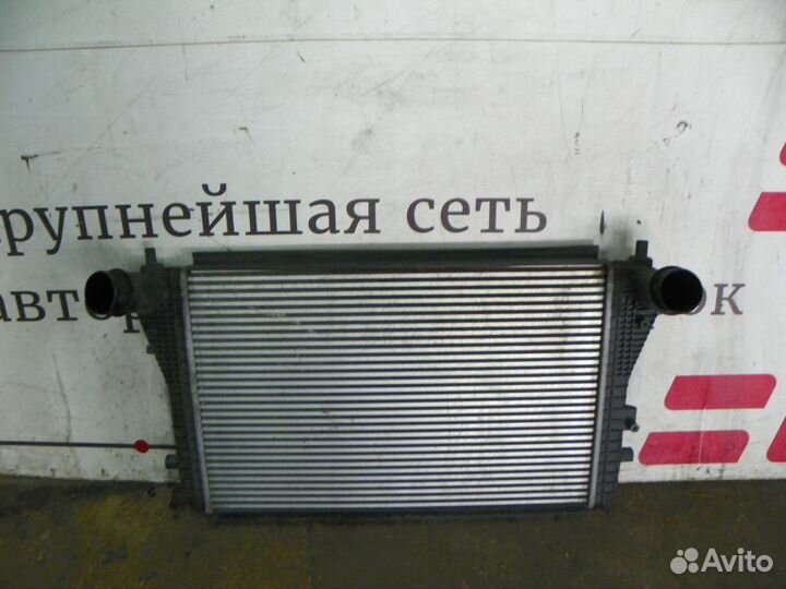Интеркулер Skoda Octavia