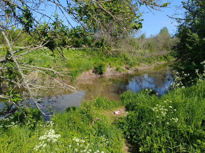 Участок 6 сот. (СНТ, ДНП)