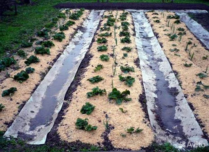 Стружка(опилки)