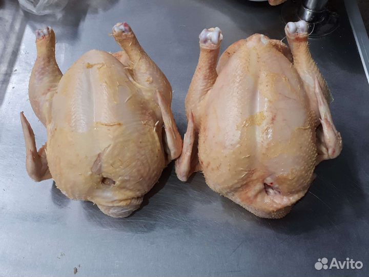 Куры бройлеры тушки мясо