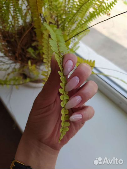 Педикюр с покрытием лаком