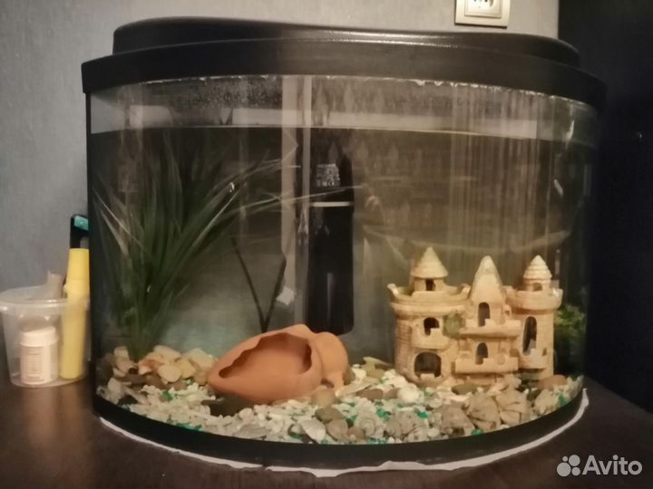Аквариум