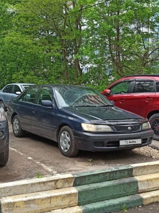 Toyota Corona Premio: фото владельца