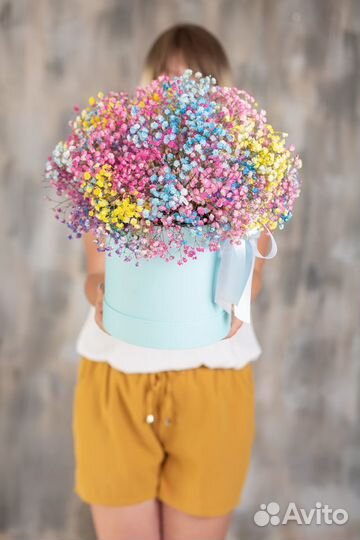 Гипсофила коробка