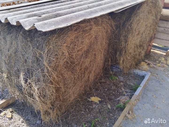 Продам сено в рулонах