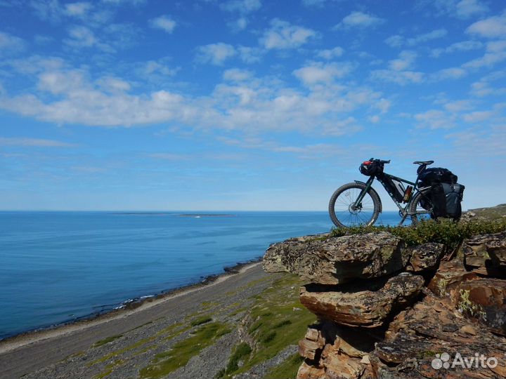 Marin Pine Mountain (2019) L 27.5