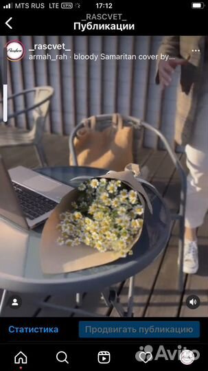 Ромашки танацетум