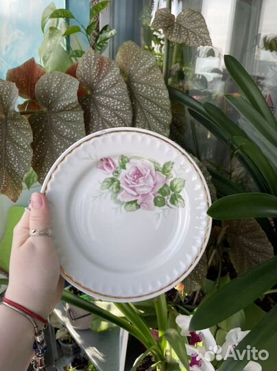 Тарелки столовые, СССР, 8 штук, Прокопьевский фз