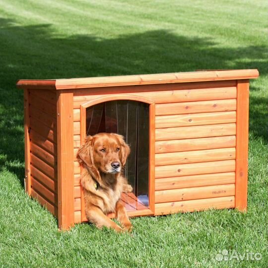 Курятник, вольер