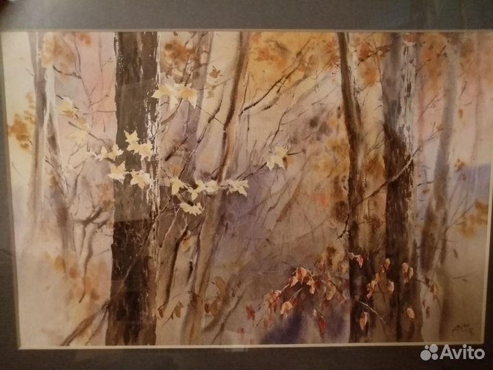 Картины природа леса