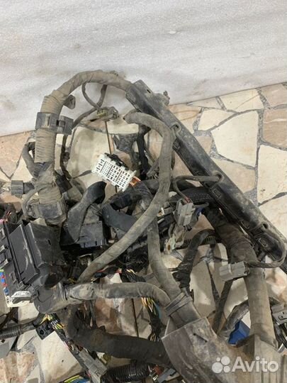 Проводка двс Kia Ceed Ed хэтчбэк 1.6 122 Л.C. 2010