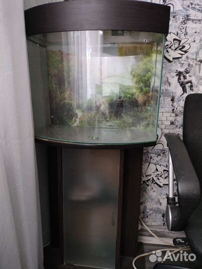 Аквариум с тумбой бу