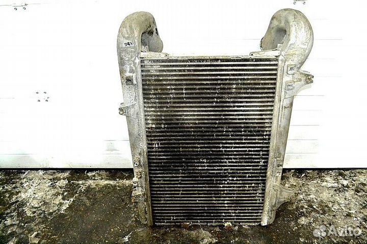 Интеркулер DAF XF105 (01.05)